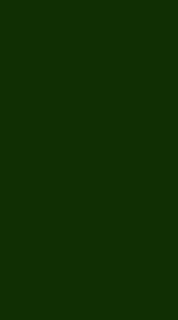 STAGGIN PRIDE Green Design