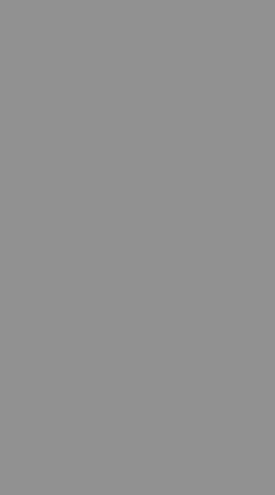 STAGGIN WORD RAINBOW - greyRainbow Design