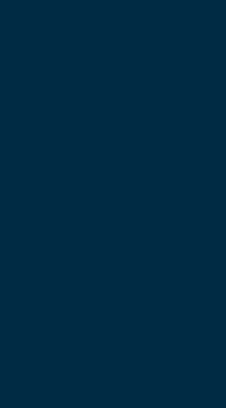 STAGGIN PRIDE STRIPE Navy Design