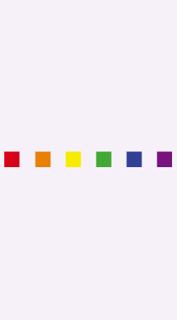 STAGGIN PRIDE SUBTLE - whiteRainbow Design