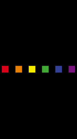 STAGGIN PRIDE SUBTLE - blackRainbow Design