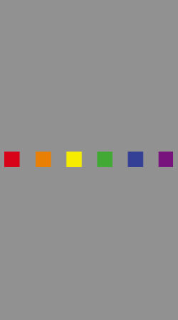 STAGGIN PRIDE SUBTLE - greyRainbow Design