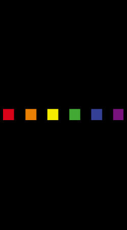 STAGGIN PRIDE SUBTLE Hoodie - blackRainbow Design