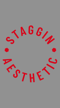 STAGGIN AESTHETIC UC HOODIE - greyRed Design
