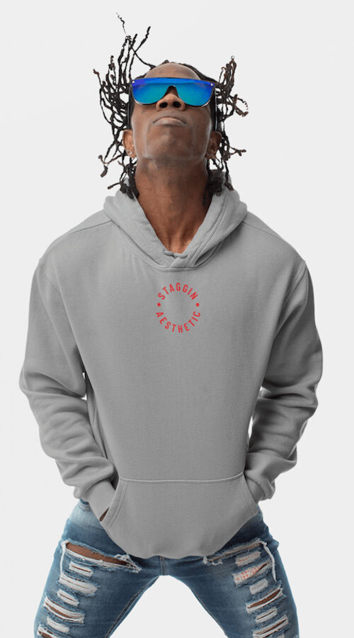 STAGGIN AESTHETIC UC HOODIE - greyRed Thumbnail